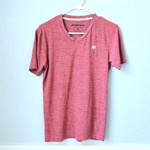 Burnt orange tshirt by Aeropostale | V neck size men's small